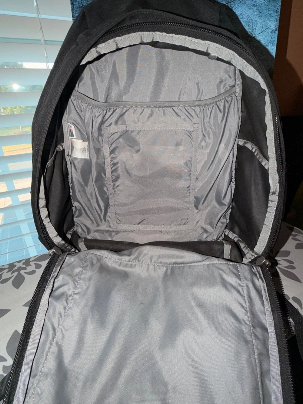 The North Face brand north